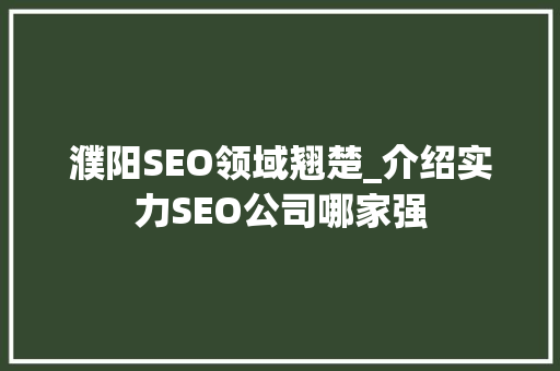濮阳SEO领域翘楚_介绍实力SEO公司哪家强