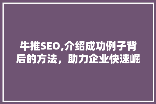 牛推SEO,介绍成功例子背后的方法，助力企业快速崛起