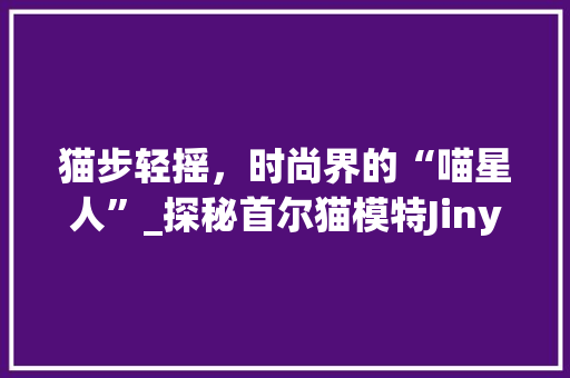 猫步轻摇，时尚界的“喵星人”_探秘首尔猫模特Jinyseo的猫步人生