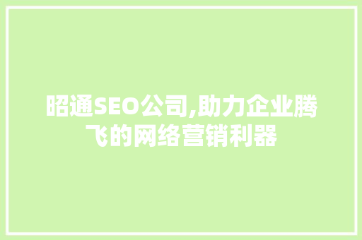 昭通SEO公司,助力企业腾飞的网络营销利器