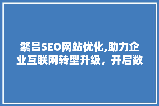 繁昌SEO网站优化,助力企业互联网转型升级，开启数字化营销新篇章
