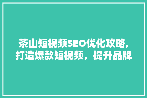 茶山短视频SEO优化攻略,打造爆款短视频，提升品牌影响力