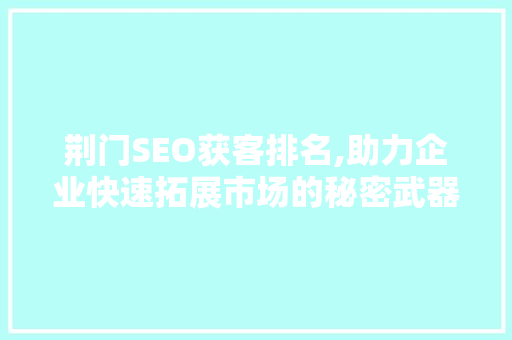 荆门SEO获客排名,助力企业快速拓展市场的秘密武器