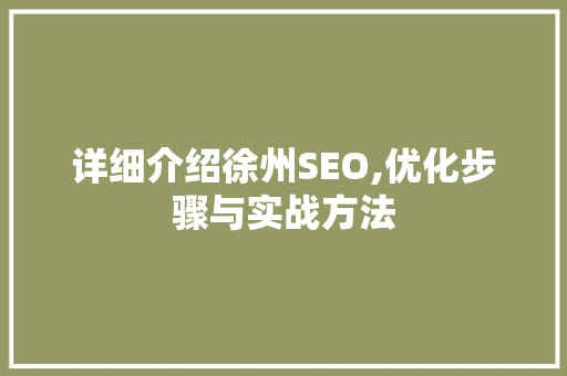 详细介绍徐州SEO,优化步骤与实战方法 WordPress教程