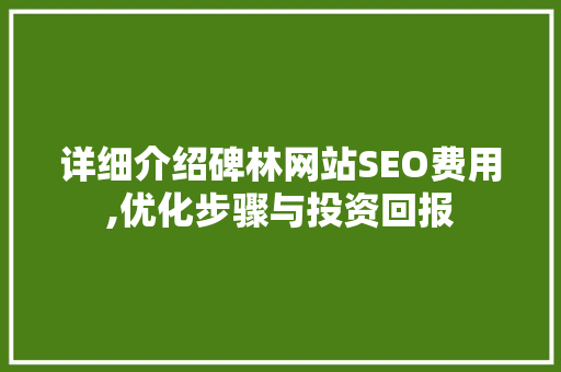 详细介绍碑林网站SEO费用,优化步骤与投资回报