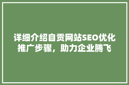详细介绍自贡网站SEO优化推广步骤，助力企业腾飞