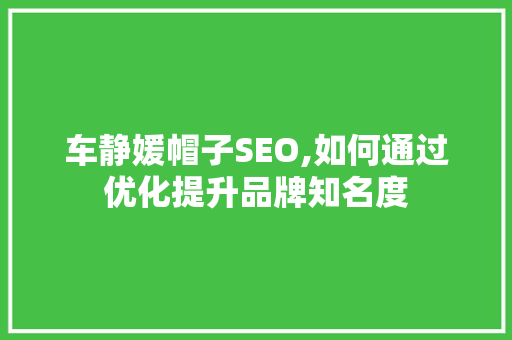 车静媛帽子SEO,如何通过优化提升品牌知名度 SEO教程