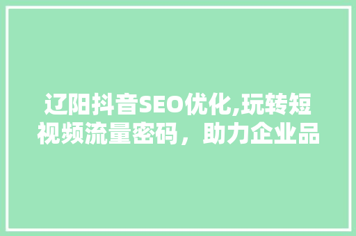 辽阳抖音SEO优化,玩转短视频流量密码，助力企业品牌腾飞