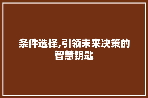 条件选择,引领未来决策的智慧钥匙