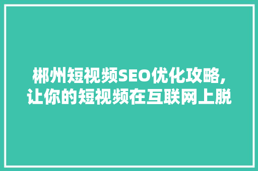 郴州短视频SEO优化攻略,让你的短视频在互联网上脱颖而出 建站教程