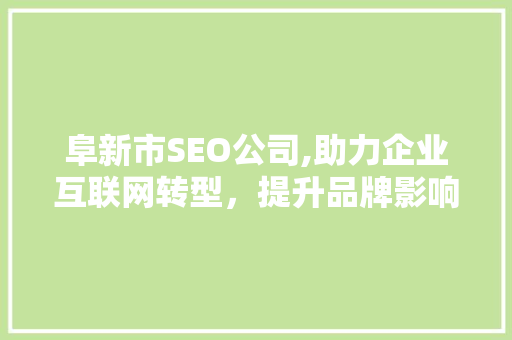 阜新市SEO公司,助力企业互联网转型，提升品牌影响力