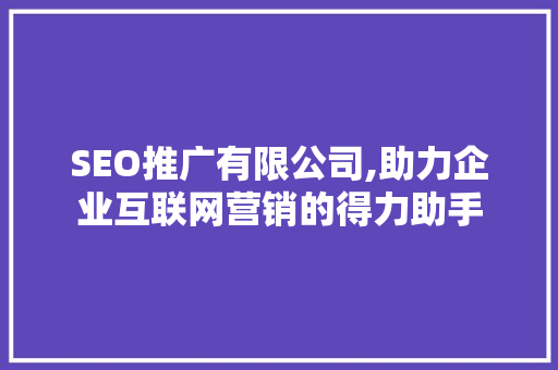 SEO推广有限公司,助力企业互联网营销的得力助手