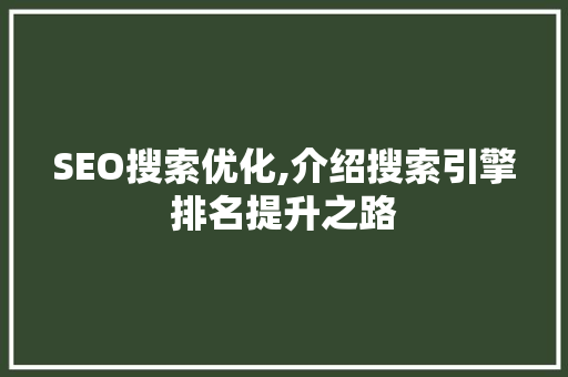 SEO搜索优化,介绍搜索引擎排名提升之路