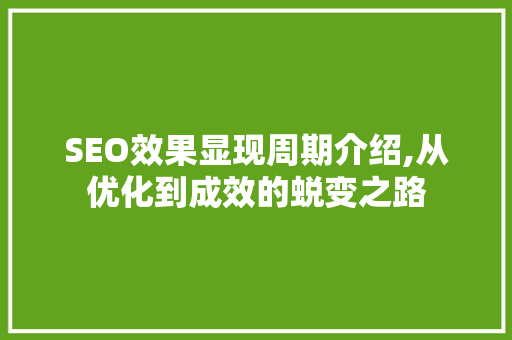 SEO效果显现周期介绍,从优化到成效的蜕变之路