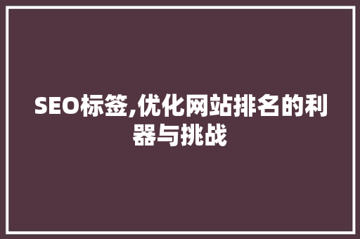 SEO标签,优化网站排名的利器与挑战