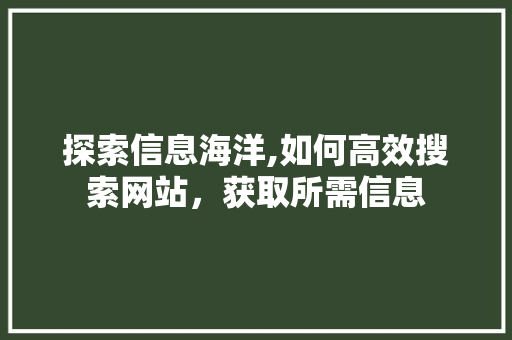 探索信息海洋,如何高效搜索网站，获取所需信息