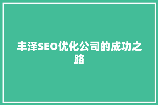 丰泽SEO优化公司的成功之路