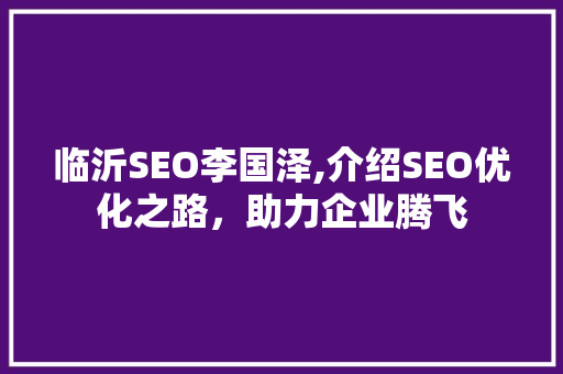 临沂SEO李国泽,介绍SEO优化之路，助力企业腾飞