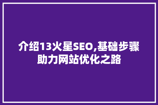 介绍13火星SEO,基础步骤助力网站优化之路