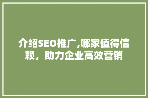 介绍SEO推广,哪家值得信赖，助力企业高效营销