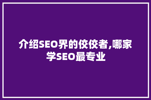 介绍SEO界的佼佼者,哪家学SEO最专业 Web前端