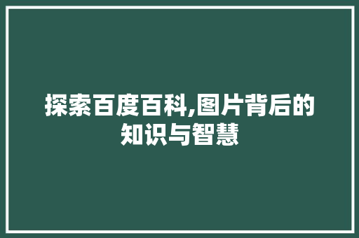探索百度百科,图片背后的知识与智慧