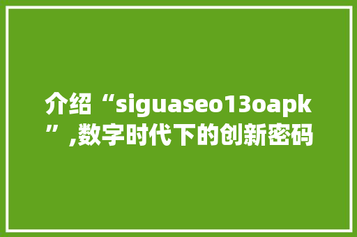 介绍“siguaseo13oapk”,数字时代下的创新密码 Web前端