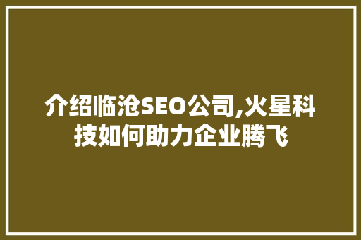 介绍临沧SEO公司,火星科技如何助力企业腾飞 SEO教程