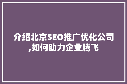 介绍北京SEO推广优化公司,如何助力企业腾飞