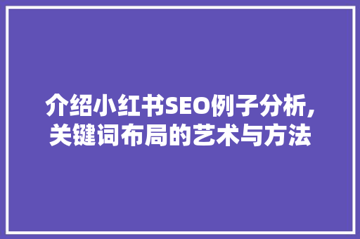 介绍小红书SEO例子分析,关键词布局的艺术与方法