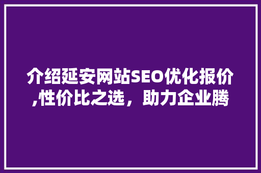 介绍延安网站SEO优化报价,性价比之选，助力企业腾飞 WordPress教程