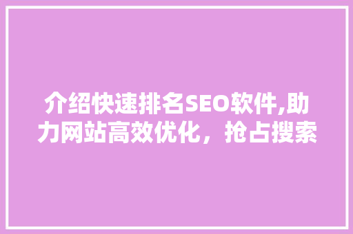 介绍快速排名SEO软件,助力网站高效优化，抢占搜索引擎流量高地