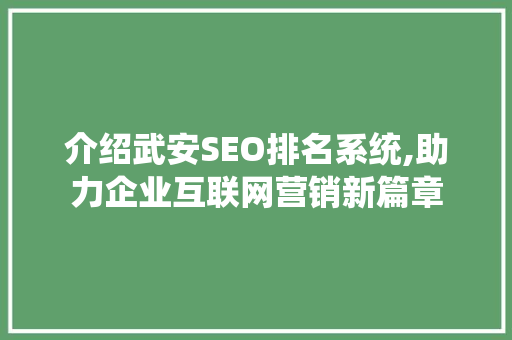 介绍武安SEO排名系统,助力企业互联网营销新篇章
