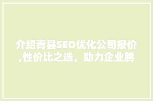 介绍青县SEO优化公司报价,性价比之选，助力企业腾飞