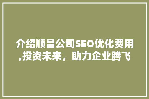 介绍顺昌公司SEO优化费用,投资未来，助力企业腾飞