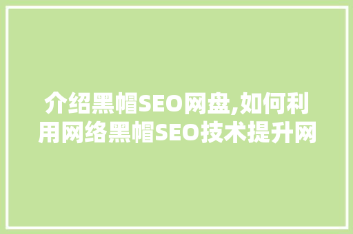 介绍黑帽SEO网盘,如何利用网络黑帽SEO技术提升网站排名