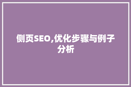 侧页SEO,优化步骤与例子分析