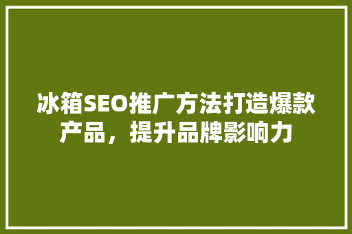 冰箱SEO推广方法打造爆款产品，提升品牌影响力 Web前端