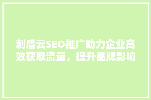 刺盾云SEO推广助力企业高效获取流量，提升品牌影响力