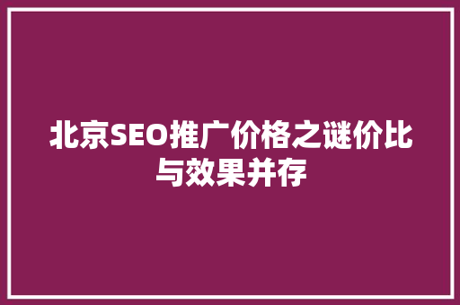 北京SEO推广价格之谜价比与效果并存