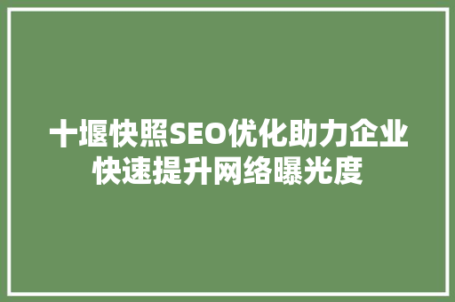 十堰快照SEO优化助力企业快速提升网络曝光度