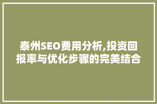 泰州SEO费用分析,投资回报率与优化步骤的完美结合