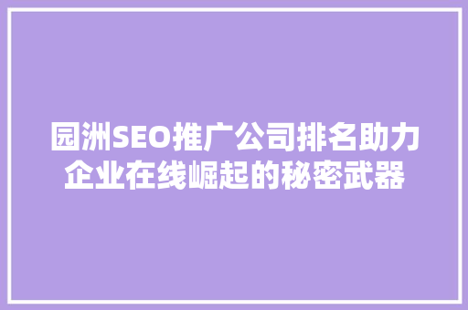 园洲SEO推广公司排名助力企业在线崛起的秘密武器