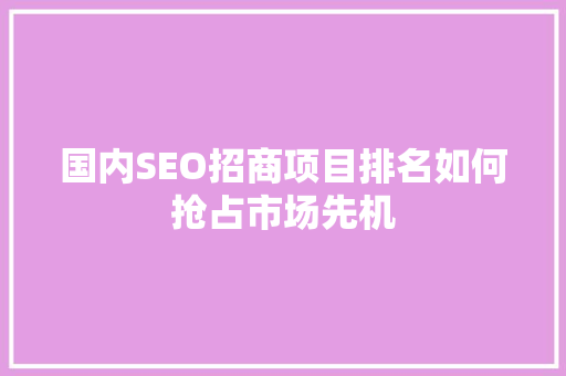 国内SEO招商项目排名如何抢占市场先机