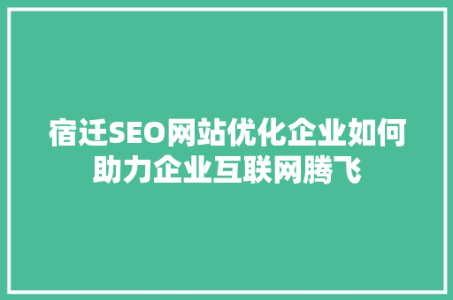 宿迁SEO网站优化企业如何助力企业互联网腾飞