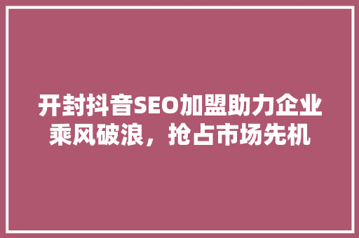 开封抖音SEO加盟助力企业乘风破浪，抢占市场先机