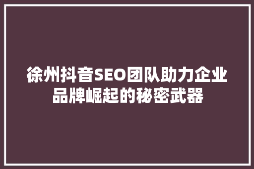 徐州抖音SEO团队助力企业品牌崛起的秘密武器