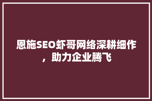 恩施SEO虾哥网络深耕细作，助力企业腾飞