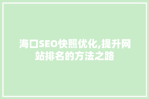 海口SEO快照优化,提升网站排名的方法之路