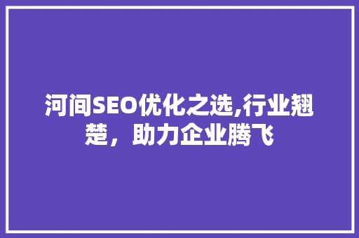河间SEO优化之选,行业翘楚，助力企业腾飞